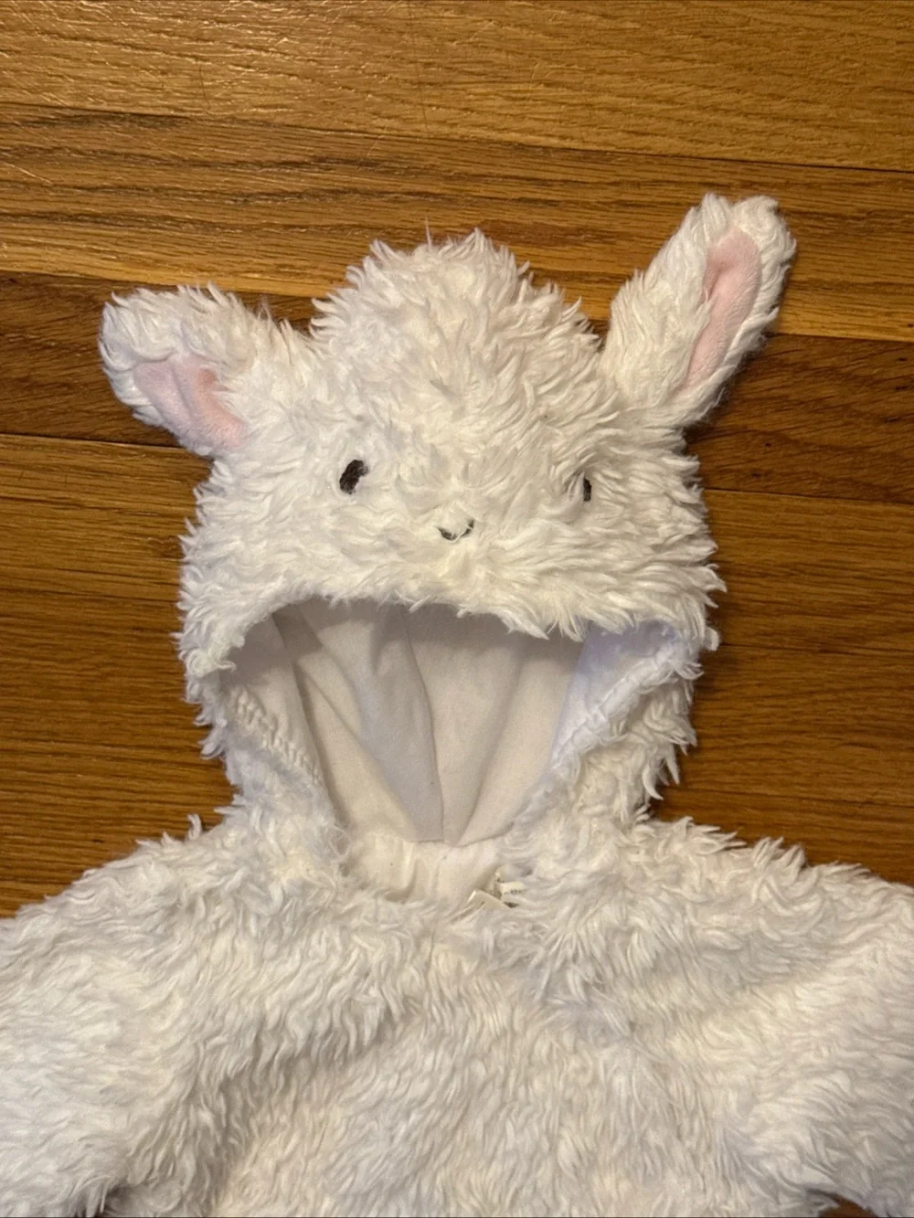 Pottery Barn Kids this adorable